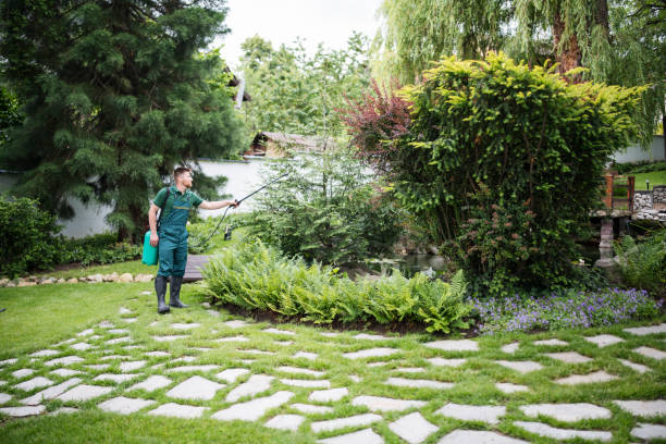 Best Affordable Pest Control Services  in Holbrook, AZ