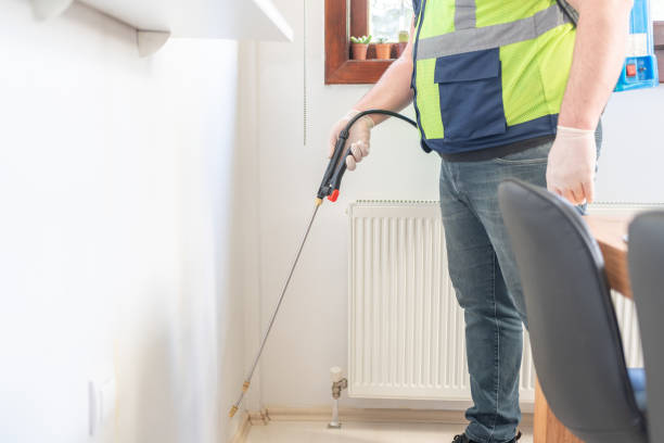 Reliable Holbrook, AZ Pest Control Solutions