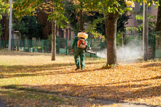 Best Ant Control Services  in Holbrook, AZ